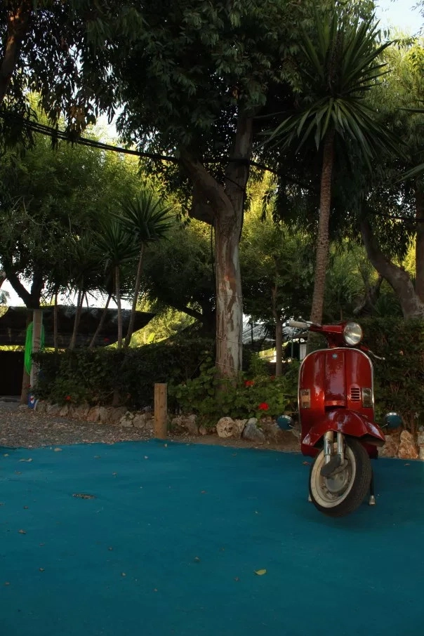 zobacz camping - zdjęcie 8