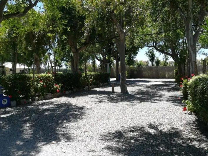 zobacz camping - zdjęcie 7