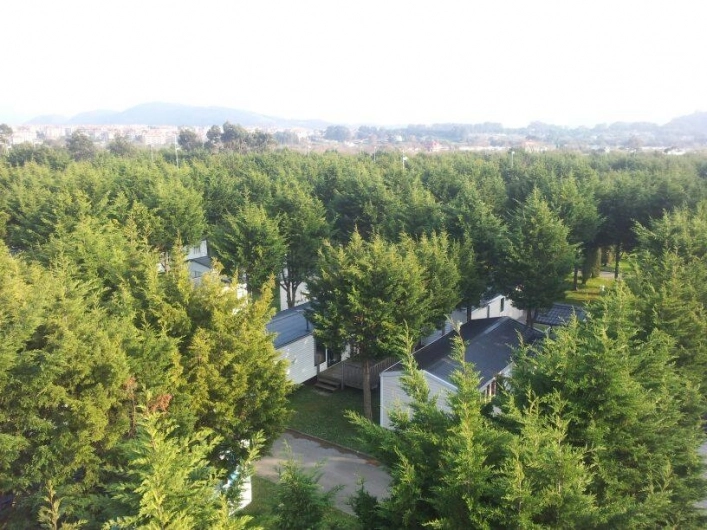 zobacz camping - zdjęcie 16