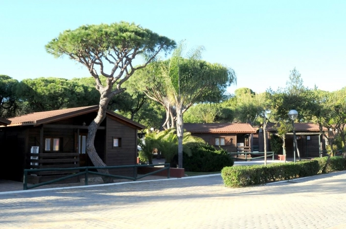 zobacz camping - zdjęcie 40