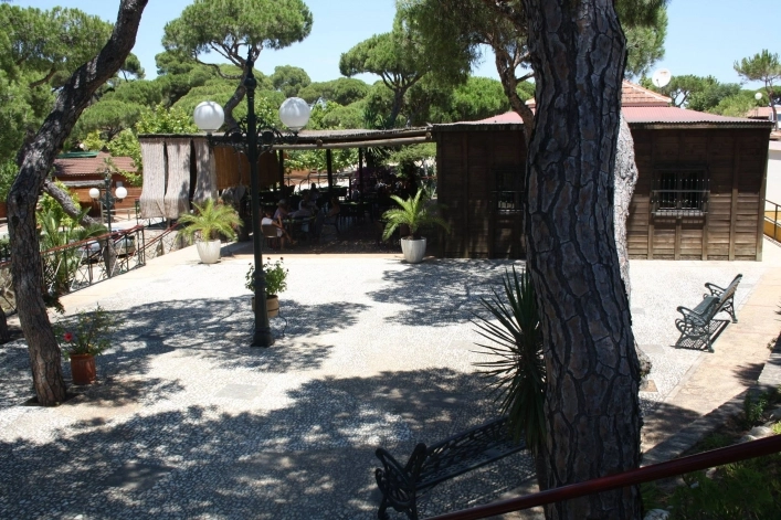 zobacz camping - zdjęcie 39