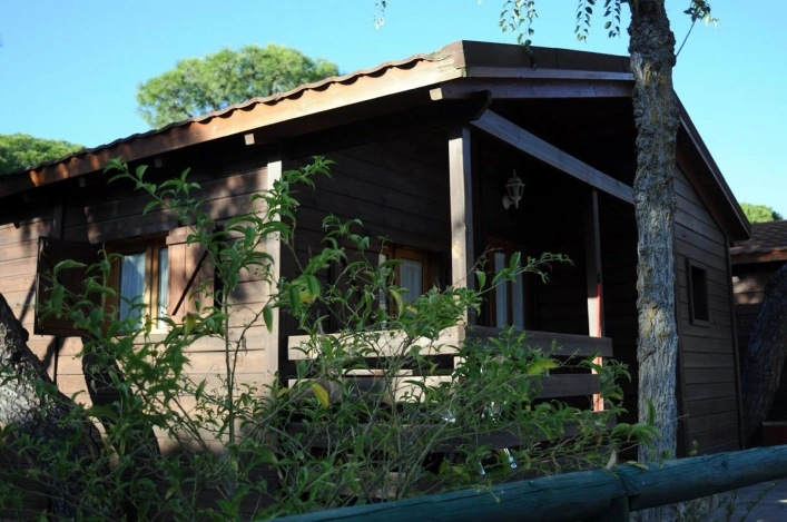 zobacz camping - zdjęcie 38