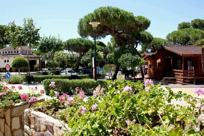 zobacz camping - zdjęcie 36