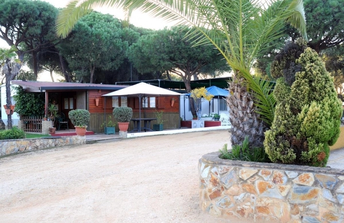 zobacz camping - zdjęcie 31