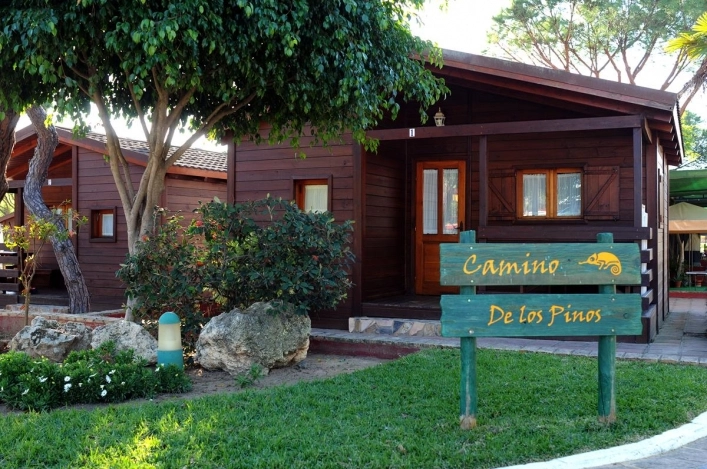 zobacz camping - zdjęcie 29