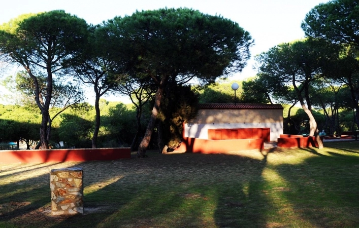 zobacz camping - zdjęcie 18