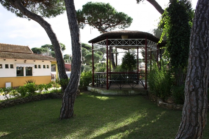 zobacz camping - zdjęcie 11