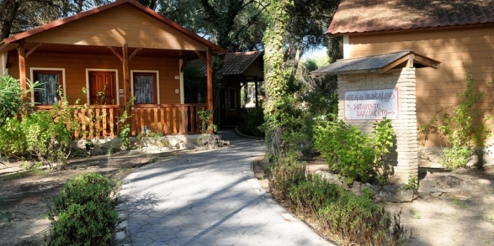 zobacz camping - zdjęcie 22