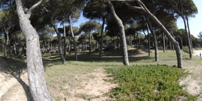 zobacz camping - zdjęcie 11