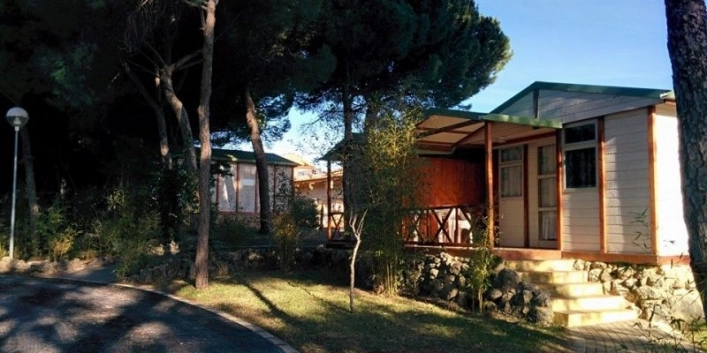 zobacz camping - zdjęcie 7