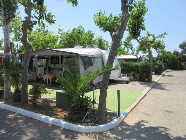 zobacz camping - zdjęcie 15