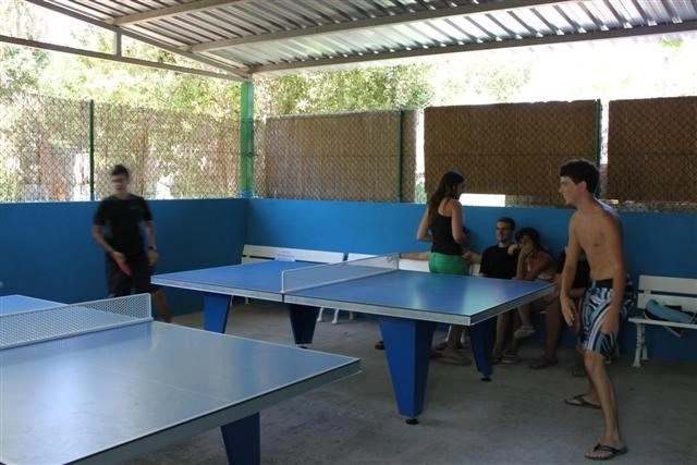 zobacz camping - zdjęcie 14