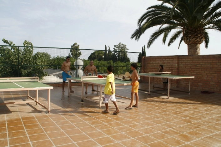 zobacz camping - zdjęcie 9