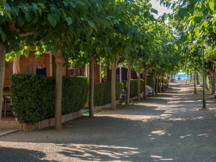 zobacz camping - zdjęcie 19