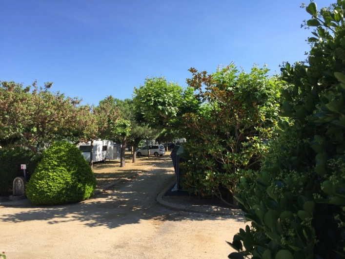 zobacz camping - zdjęcie 10