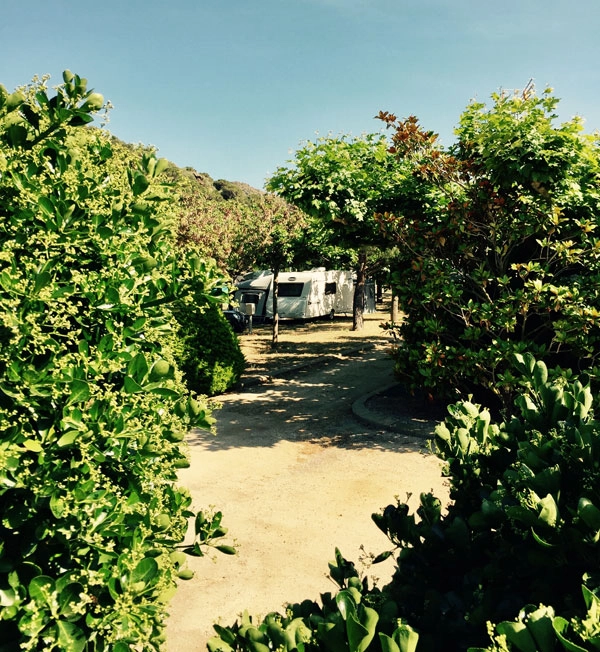 zobacz camping - zdjęcie 8