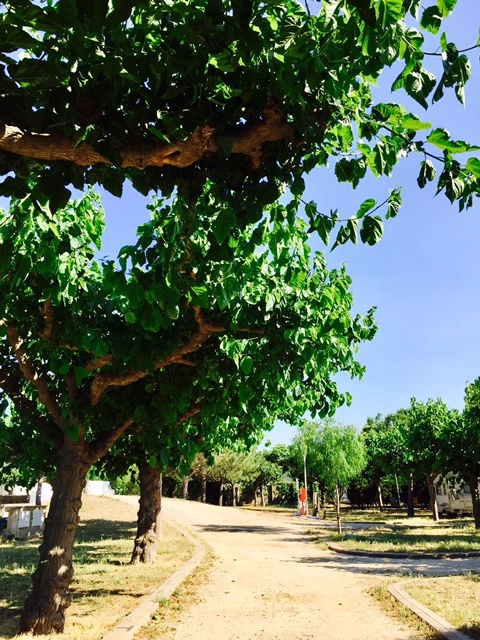 zobacz camping - zdjęcie 7