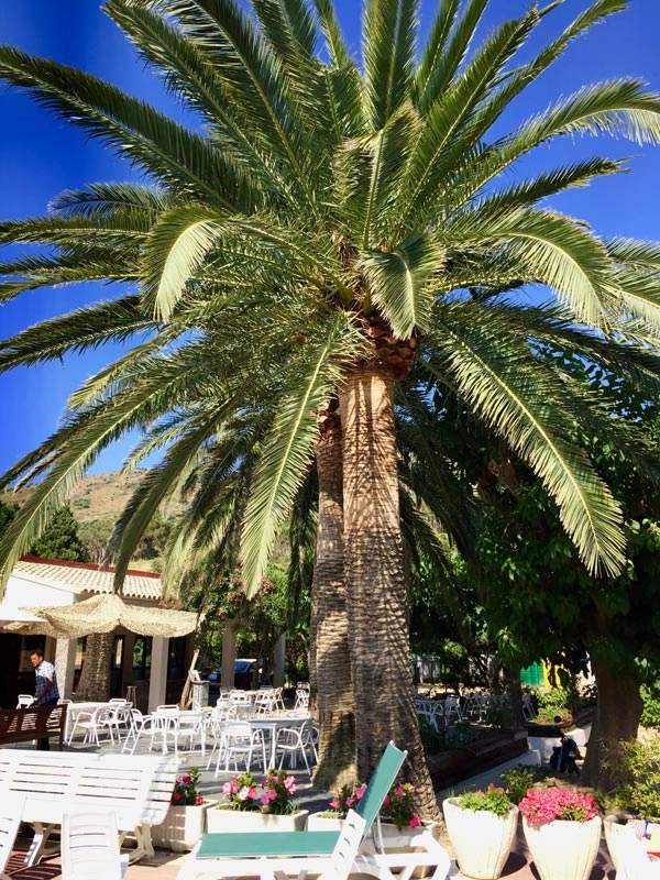 zobacz camping - zdjęcie 6