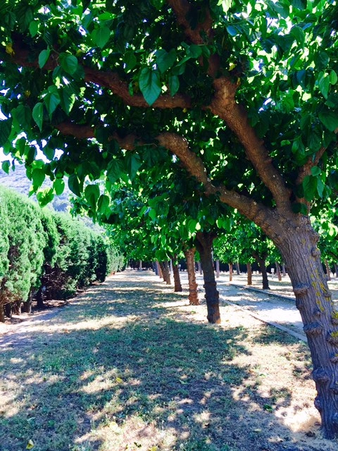 zobacz camping - zdjęcie 5