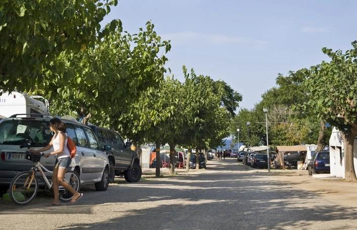 zobacz camping - zdjęcie 5