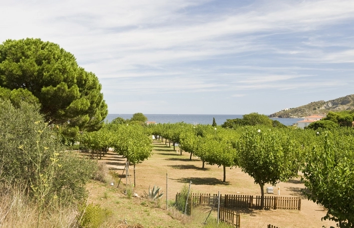 Camping Port De La Vall - zdjęcie 1