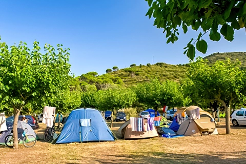 Camping Port De La Vall