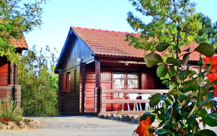 zobacz camping - zdjęcie 26