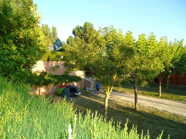 zobacz camping - zdjęcie 12