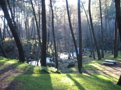 zobacz camping - zdjęcie 10