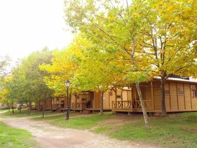 zobacz camping - zdjęcie 8