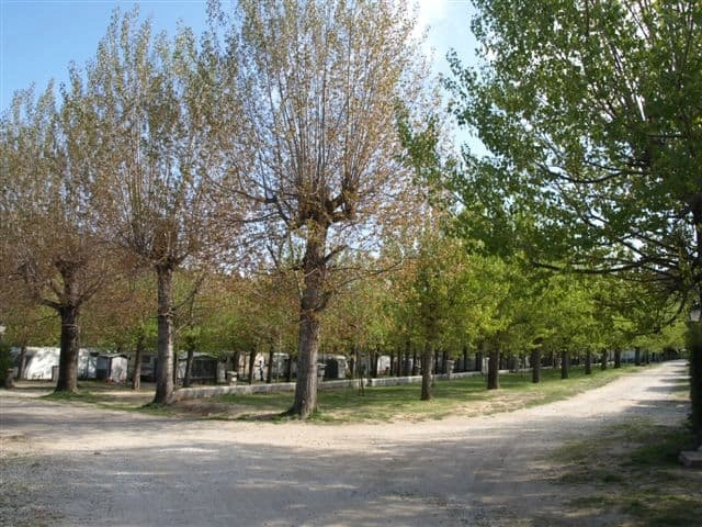 zobacz camping - zdjęcie 6