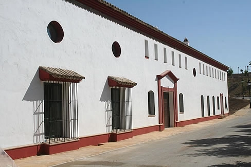 zobacz camping - zdjęcie 8