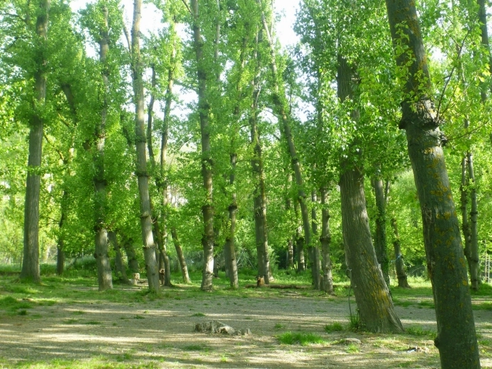 zobacz camping - zdjęcie 6