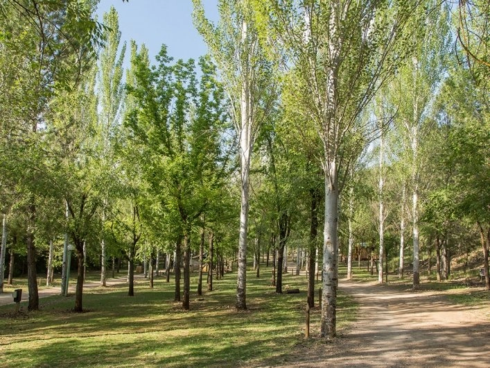 zobacz camping - zdjęcie 4