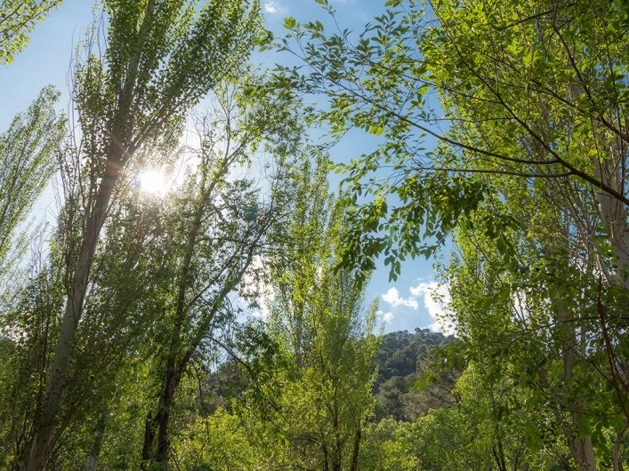 Camping Puente de las Herrerías - zdjęcie 2