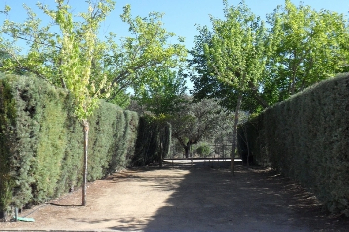 zobacz camping - zdjęcie 15