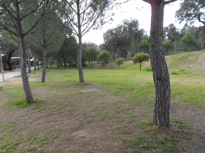 zobacz camping - zdjęcie 10