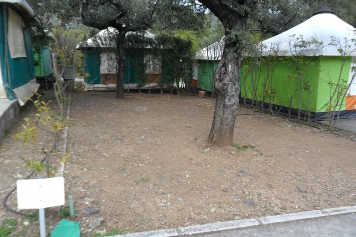 zobacz camping - zdjęcie 8