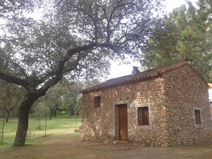 zobacz camping - zdjęcie 7