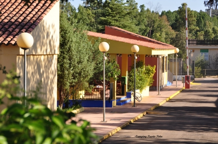 zobacz camping - zdjęcie 7