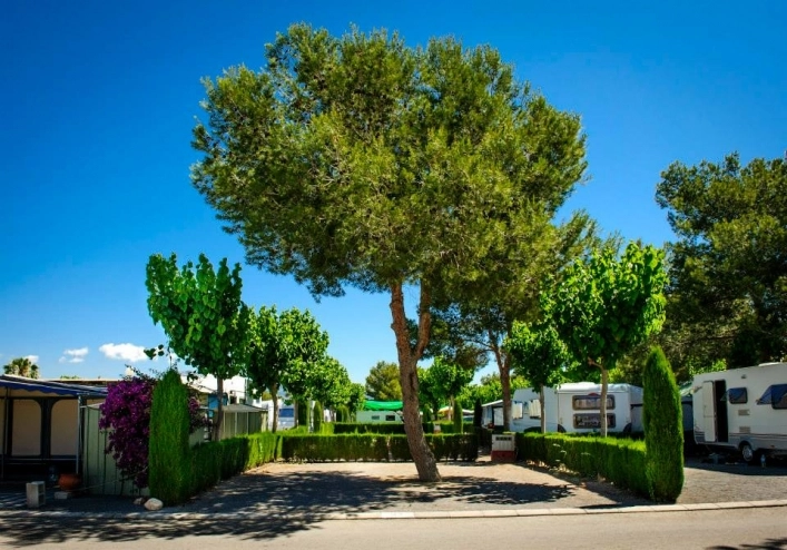 zobacz camping - zdjęcie 7