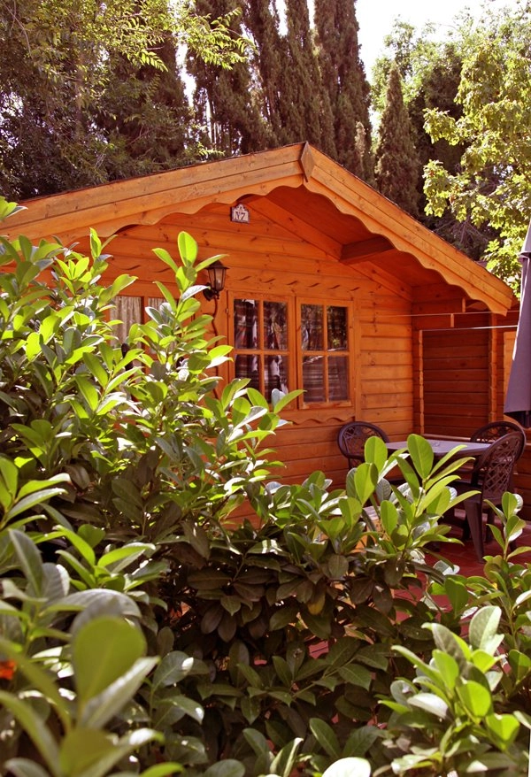 zobacz camping - zdjęcie 13