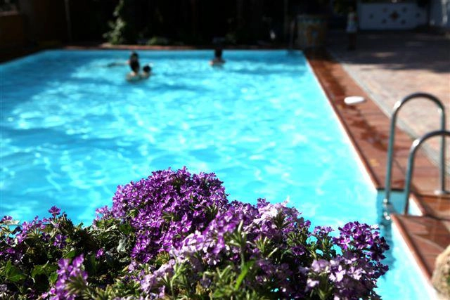 zobacz camping - zdjęcie 12