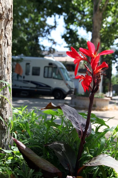 zobacz camping - zdjęcie 7