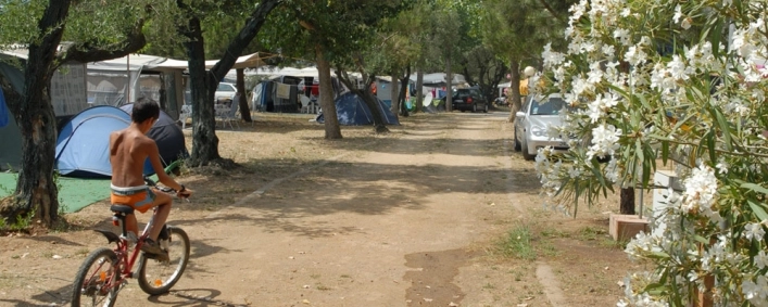 zobacz camping - zdjęcie 15