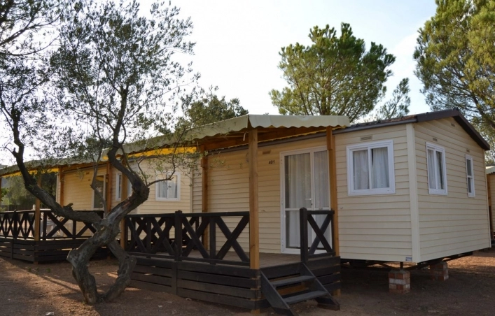 zobacz camping - zdjęcie 14