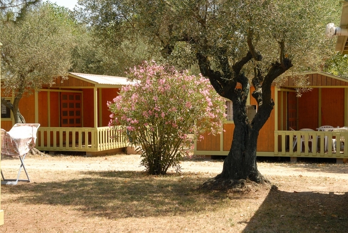 zobacz camping - zdjęcie 7