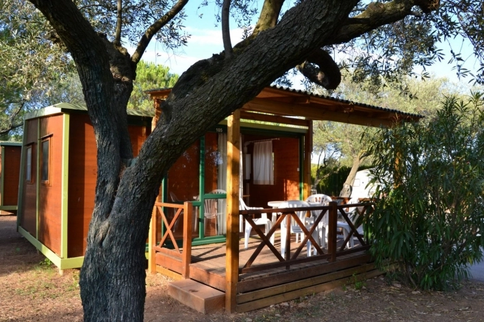 zobacz camping - zdjęcie 6