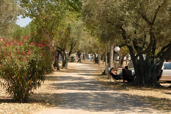 zobacz camping - zdjęcie 1