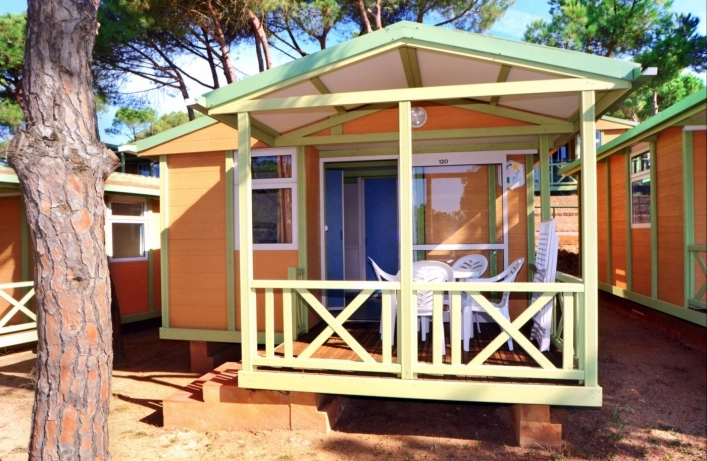 zobacz camping - zdjęcie 4